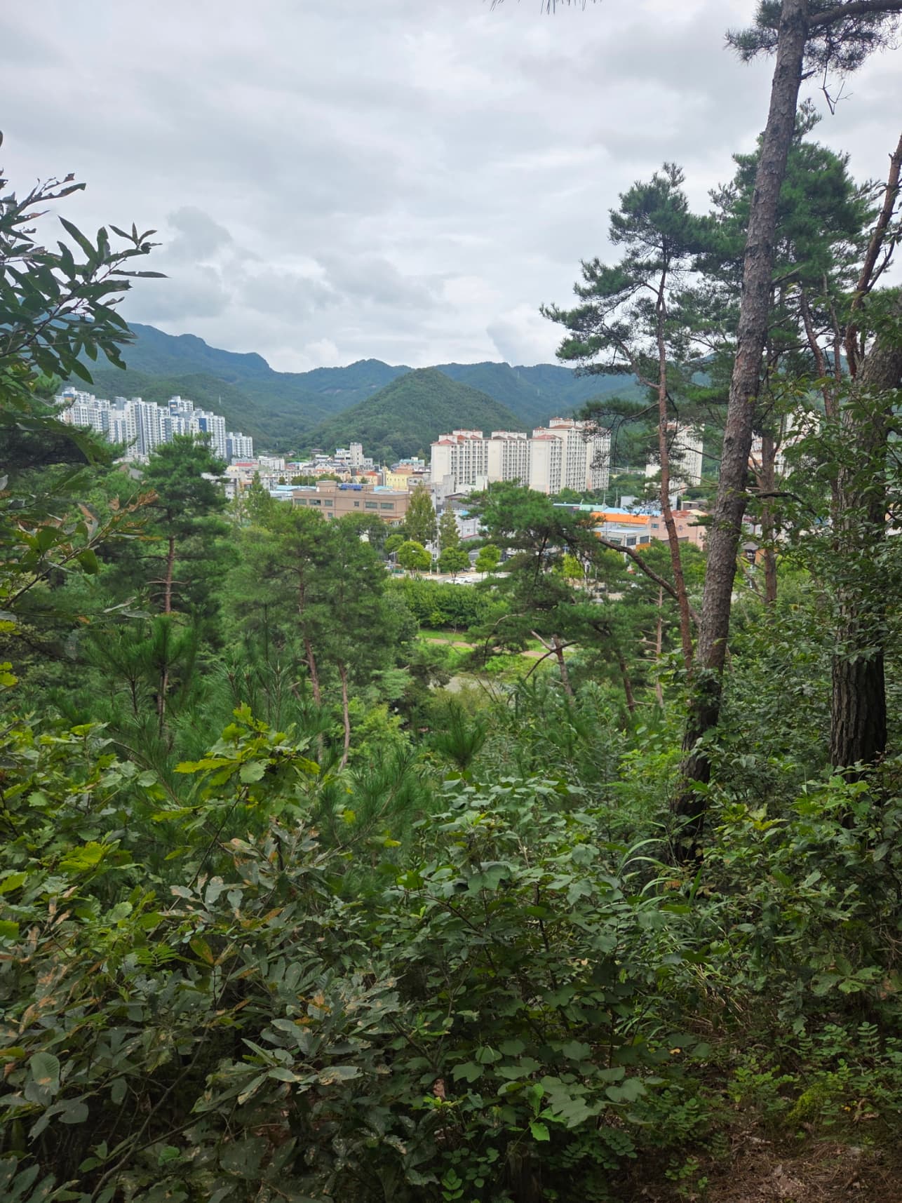 대별수변(초지)공원 이미지 5