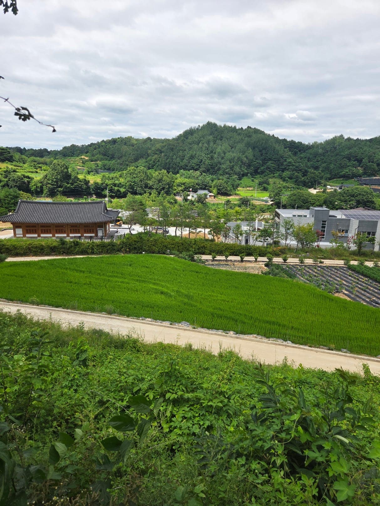 진악산 이미지 5