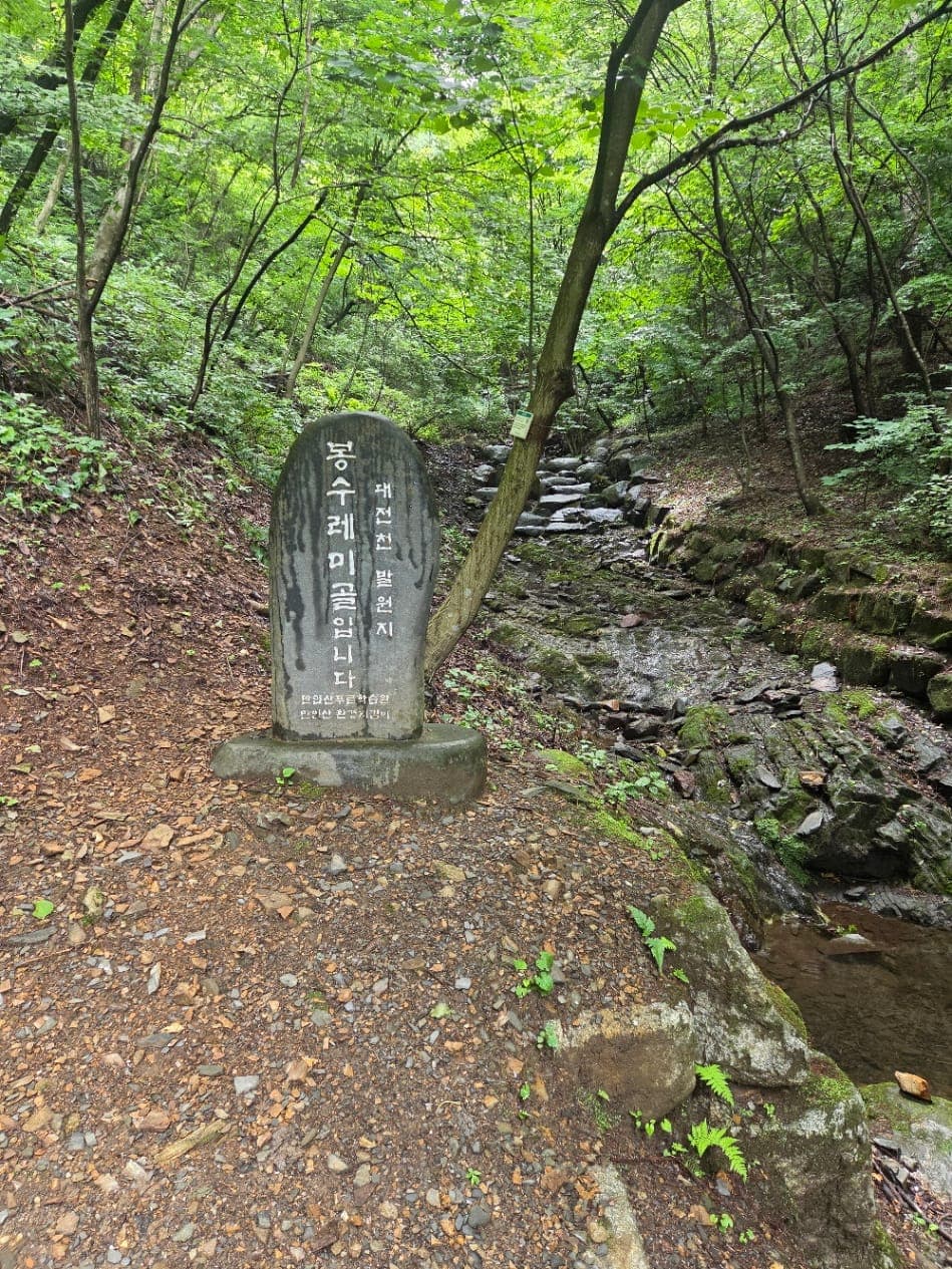만인산 자연휴양림 이미지 4