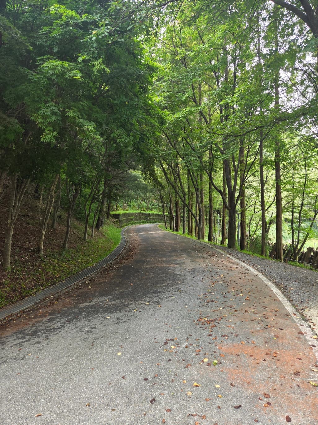 상소동 산림욕장 이미지 4