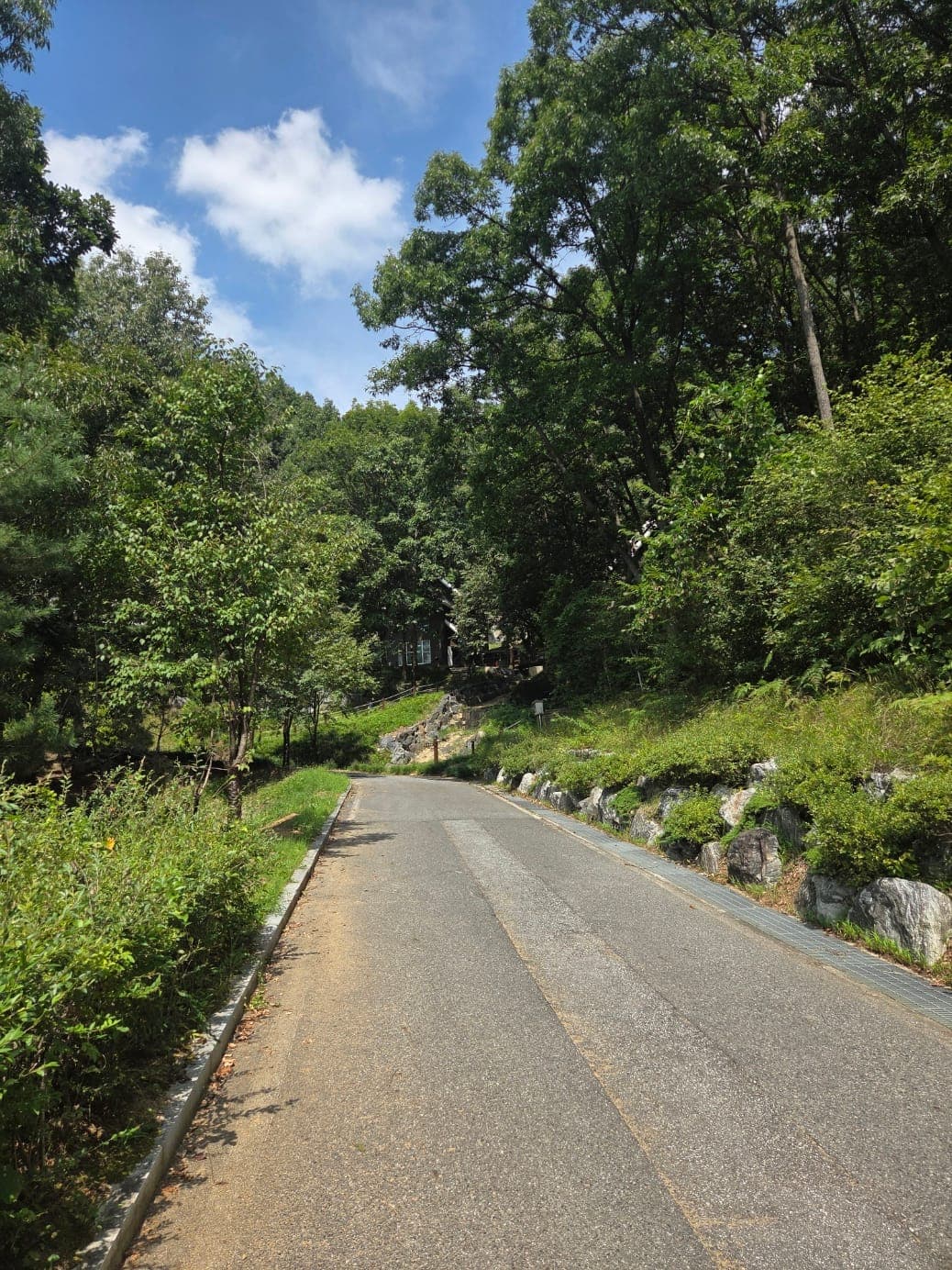양촌자연휴양림 대표 이미지