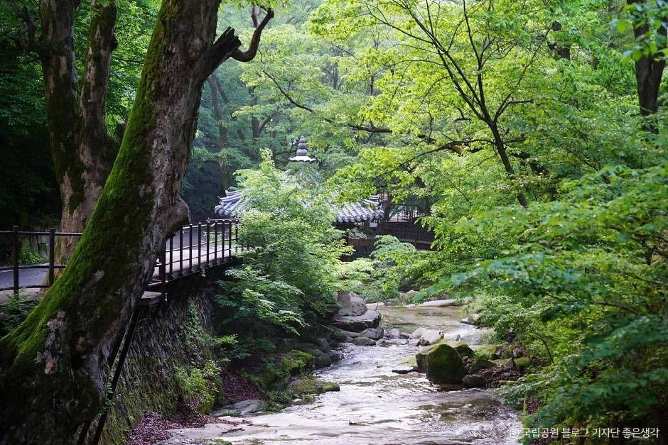 계룡산 국립공원 이미지 4